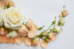 Composition of white and orange roses over white background. Beautiful decoration for post card or wedding car for romantic couple.