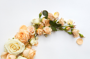 Composition of beautiful roses of different colors represented over white background. Nice decoration of any post card. Valentine's Day concept.