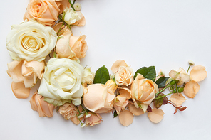 frame with roses and leaves on a white background