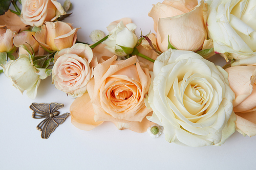 Closeup of composition of roses represented on white background. White and orange roses with butterfly. Valentine's Day concept.