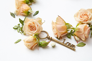 Key with red or orange roses as symbol of love isolated on white. Beautiful composition of flowers in Valentine's Day.