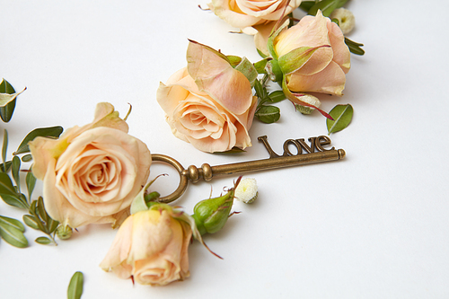 key and beige rose buds on a white background with space for text