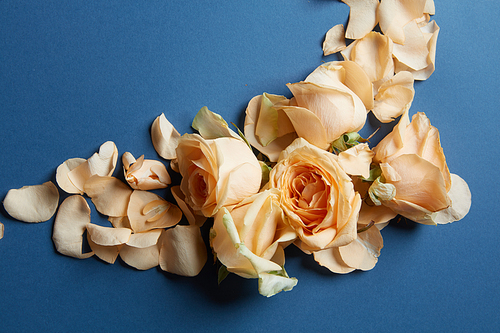 beautiful flowers in a retro styled on a blue background. flat lay