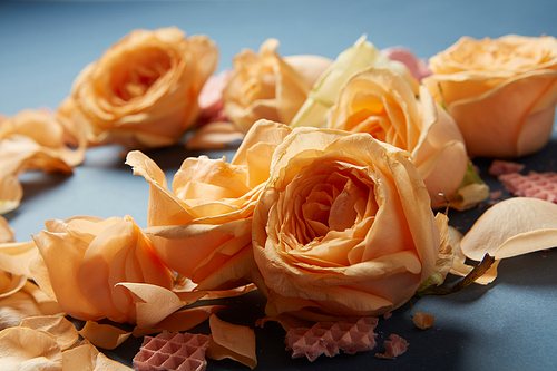 Closeup of waffles and roses as decoration of background. Navy blue background covered by orange roses with beautiful petals. Valentine's Day concept.