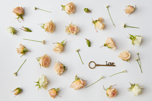 background of rosebuds and antique key, concept for Valentine's, flat lay