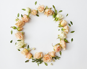 Circle of beautiful roses with little green leaves represented over white background. Beautiful ornament of roses may be used as post card in Valentine's Day.