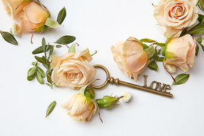 Antique key and beautiful buds of roses on a white background
