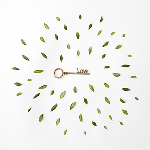 round frame of petals and a key to heart on a white background, Flat lay
