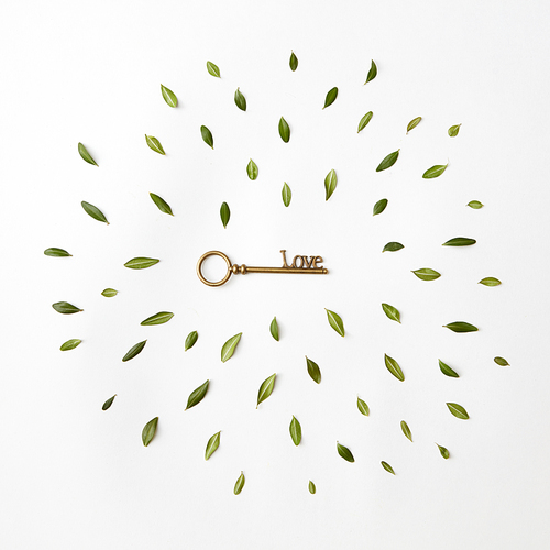 round frame of petals and a key to heart on a white background, Flat lay
