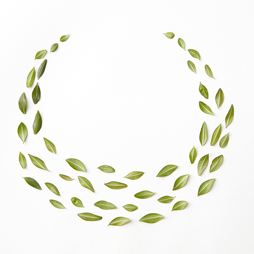 Floral composition with little green leaves isolated on white. Green leaves organized in form of circle. Flat lay