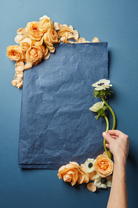 Copy space of navy blue color for ideas in Valentine's Day. Card decorated with orange roses. Female's hand decorating Valentine's composition.
