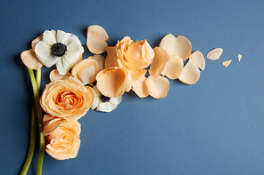 Corner frame of a beautiful orange rose on a dark background, flat lay
