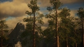 Cliff with Trees and Light of the sun