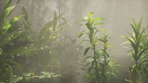 Sun shining through trees and fog in a tropical river