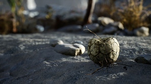 An old torn soccer ball thrown lies on sand of sea beach