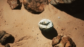 old football ball on the sand beach