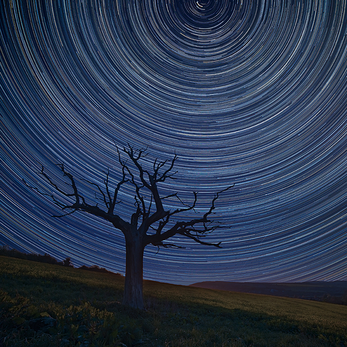 Digital composite image of star trails around Polaris with Beautiful landscape over field of rapeseed in countryside in Spring