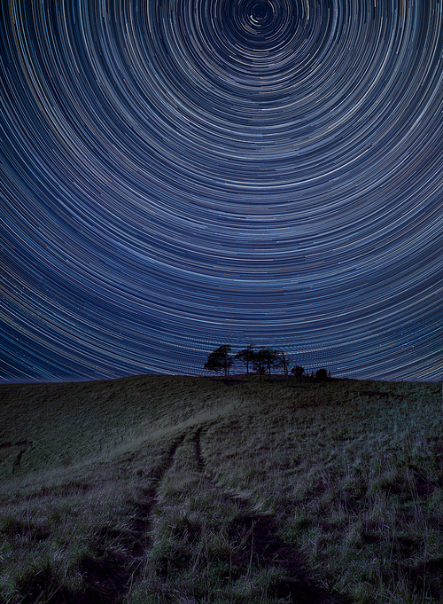 Digital composite image of star trails around Polaris with Stunning vibrant landscape of trees in countryside