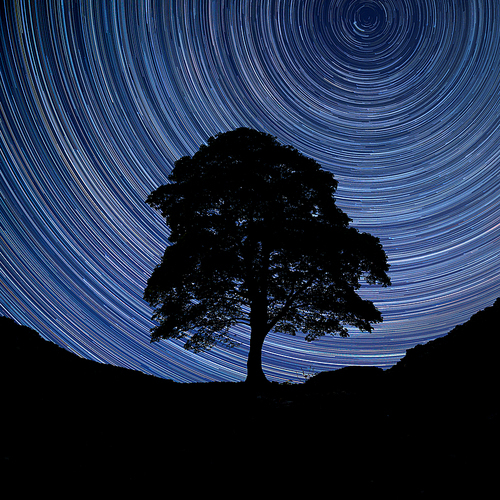 Digital composite image of star trails around Polaris with Stunning landscape image of Sycamore tree silhouette