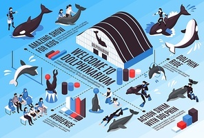 Dolphinarium isometric infographic scheme with amazing show audience dolphin ride action swim with dolphin elements vector illustration