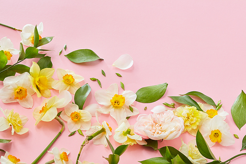 Composition with flowers and leaves in a border corner, on a pink horizontal background with space for text, flat lay