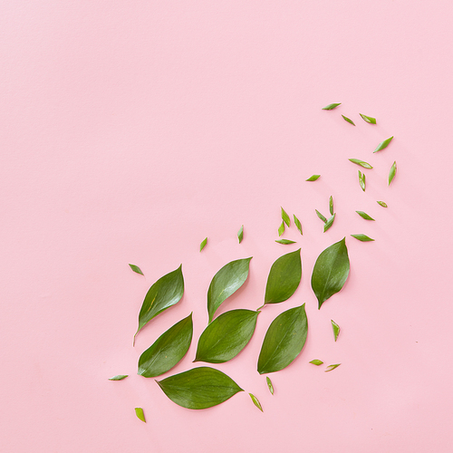 Green leaves represented in form of big leaf over pink background. Blank space may be used for noting your ideas, emotions, etc. Texture concept.