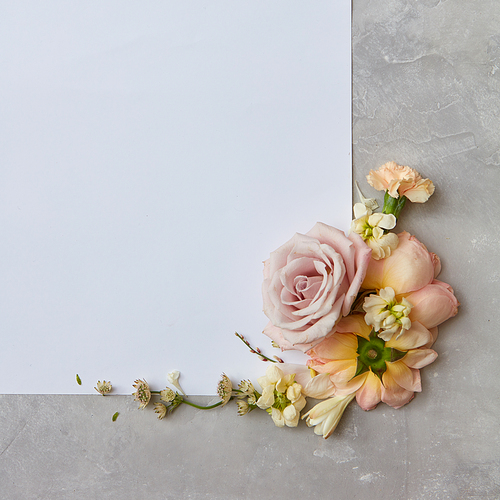 White copy space with flowers represented on grey background. White copy space may be used for any ideas, emotions. Valentine's Day concept.