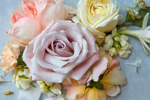 Closeup of big rose among different flowers represented on grey background. Composition of flowers may be used for any decoration in Valentine's Day.