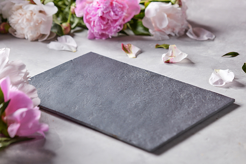 Slate board decorated with petals and pink flowers of peonies on a gray concrete background with copy space. Flower layout