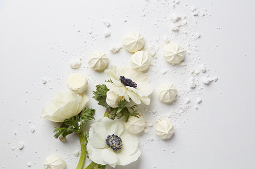 White flower with meringue on a white background, flat lay