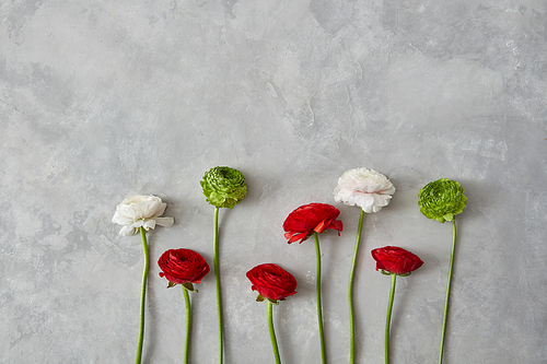 white, green and red flowers on a gray concrete background. Day valentine. Concept festive greeting card