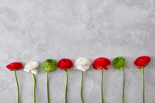 a creative composition of different flowers, a white red rose, and a green chrysanthemum on a gray background. A greeting card, a valentine's day