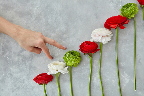 The woman's hand rises up the flowers. A white, pink rose and a green chrysanthemum on a gray concrete background. The concept of Valentine's Day