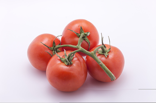 Tomatoes still on a vine are displayed on a white background.