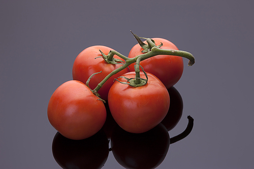 Tomatoes still on a vine are displayed on a shiny black background.