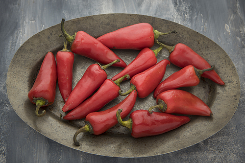 A close up studio photo of red chili peppers on a platter.