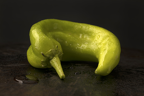 A close up of a hatch green chili pepper in a studio setting.