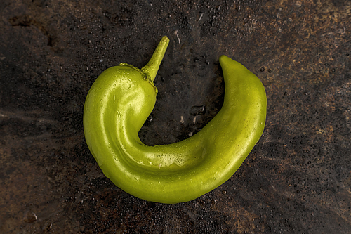 A studio image of an overview of a hatch chili pepper.