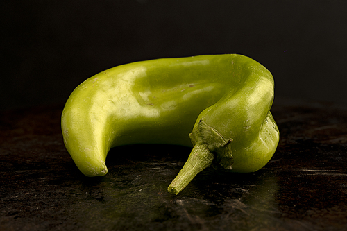 A close up of a hatch green chili pepper in a studio setting.