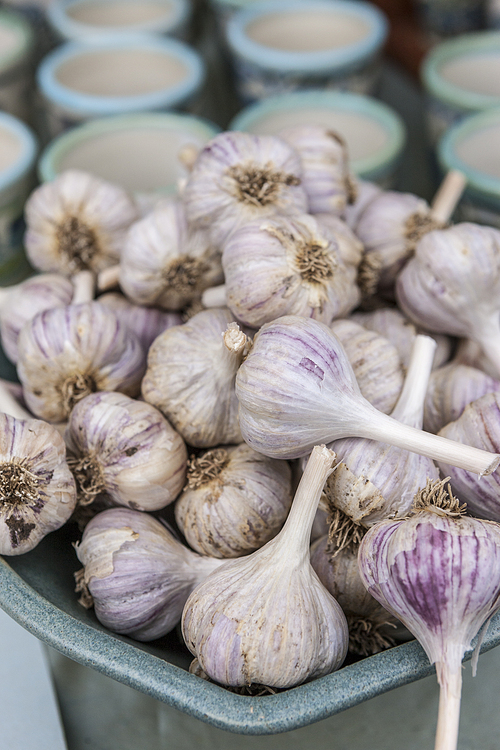 Bulbs of garlic piled in a container on display.
