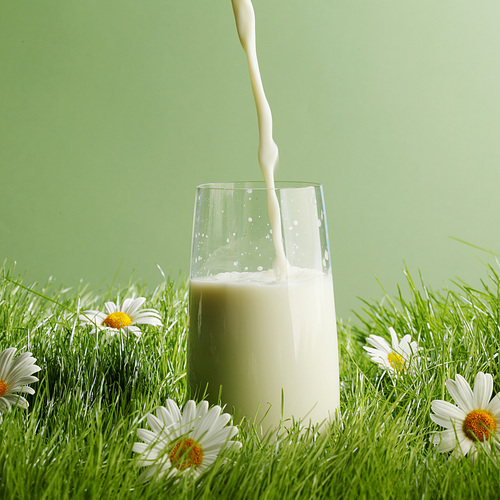 Pouring milk in a glass standing on flower field