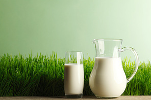 Glass of milk and jar on fresh grass meadow background
