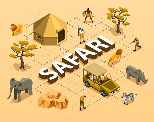 Safari isometric flowchart with wild animals car tent trees and hunters 3d vector illustration