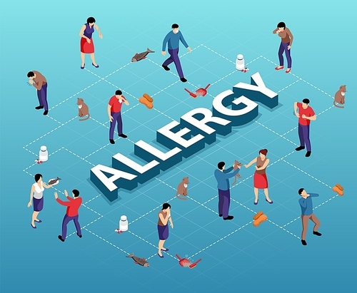 Isometric flowchart with various allergens and people suffering from allergy on blue background 3d vector illustration