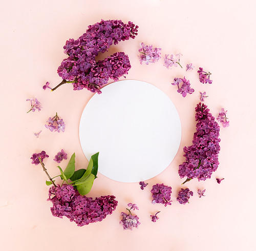 Fresh lilac flowers over pink background with copy space, flat lay floral composition
