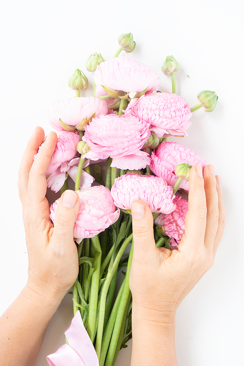 Flowers composition. Hands holding ranunculus flowers on white background close up. Flat lay, top view scene.