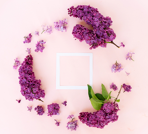 Fresh lilac flowers over pink background frame with copy space, flat lay floral composition