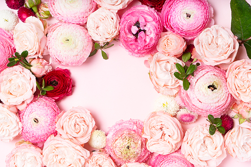 Flowers composition. Frame wreath made of roses and ranunculus flowers on pink background. Flat lay, top view with copy space