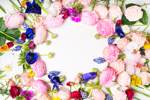 Flowers composition. Round frame made of roses, ranunculus and orchids flowers on white background. Flat lay, top view scene with copy space