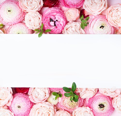 Flowers composition. Pattern made of roses and ranunculus flowers on pink background. Flat lay, top view with copy space on white paper
